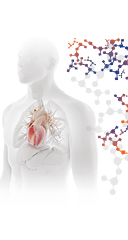 Frontiers in CardioVascular Biomedicine 2024